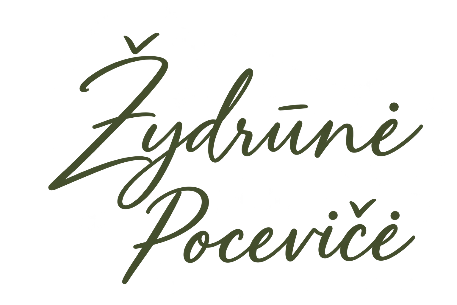 Žydrūnė Pocevičė
